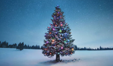 December Holiday Period 2025