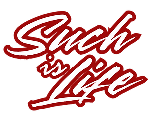 DLH Projects (16).png