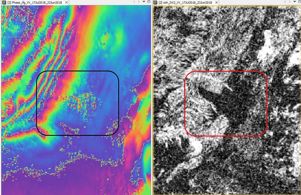 Phase (Left) and Coherence (Right) visualization from interferogram in SNAP software