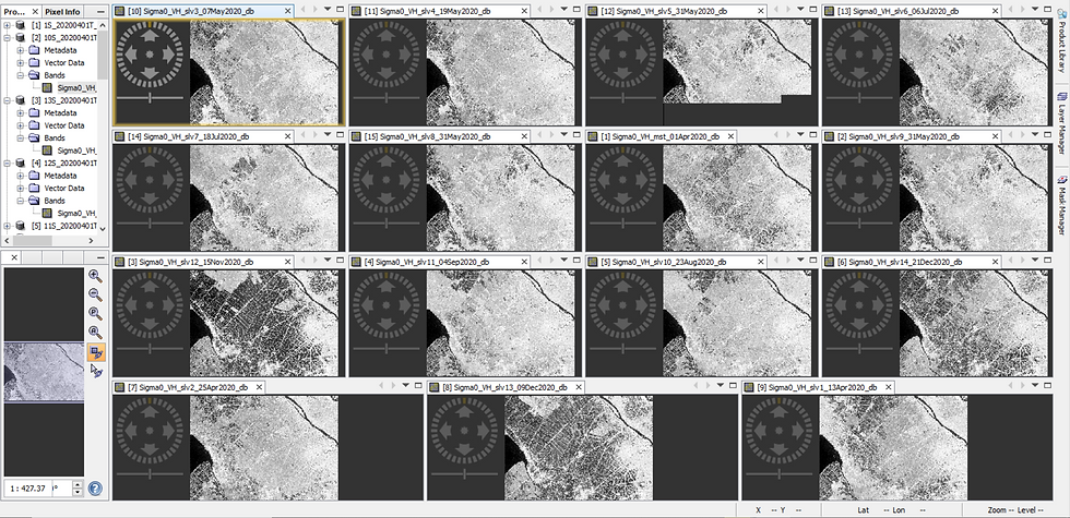 15 Sentinel-1 SAR images from April 2020 to December 2020 chosen for this Rice Mapping exercise