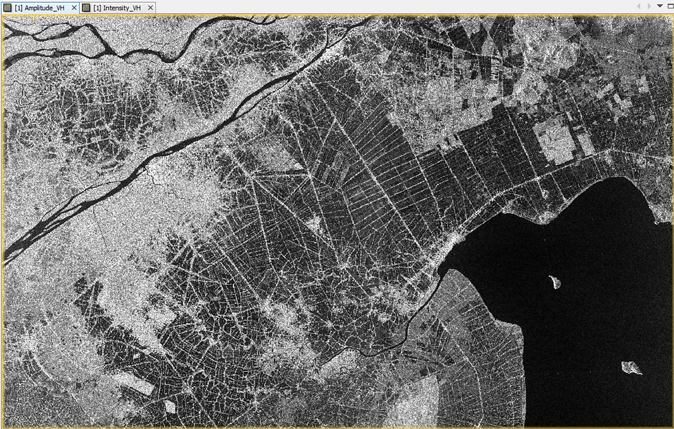 Amplitude_VH band of SAR Imagery (9th December 2020) over Mekong Delta AoI visualized