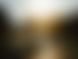 Warm Sunny Day - Unsplash