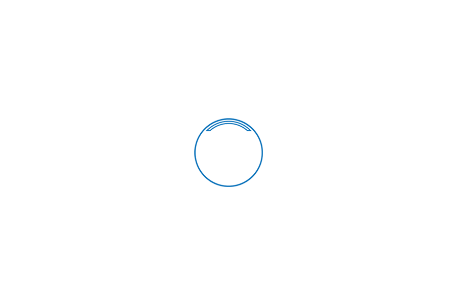 Loading Circle 4.gif
