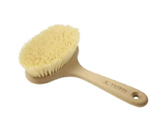 Dry Body Brush
