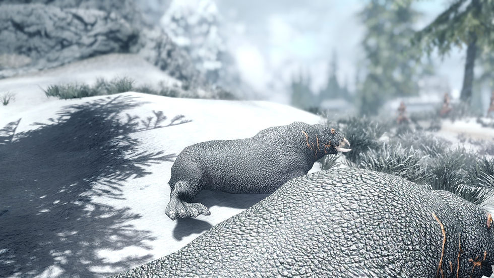 14764-1516532331-1006449685