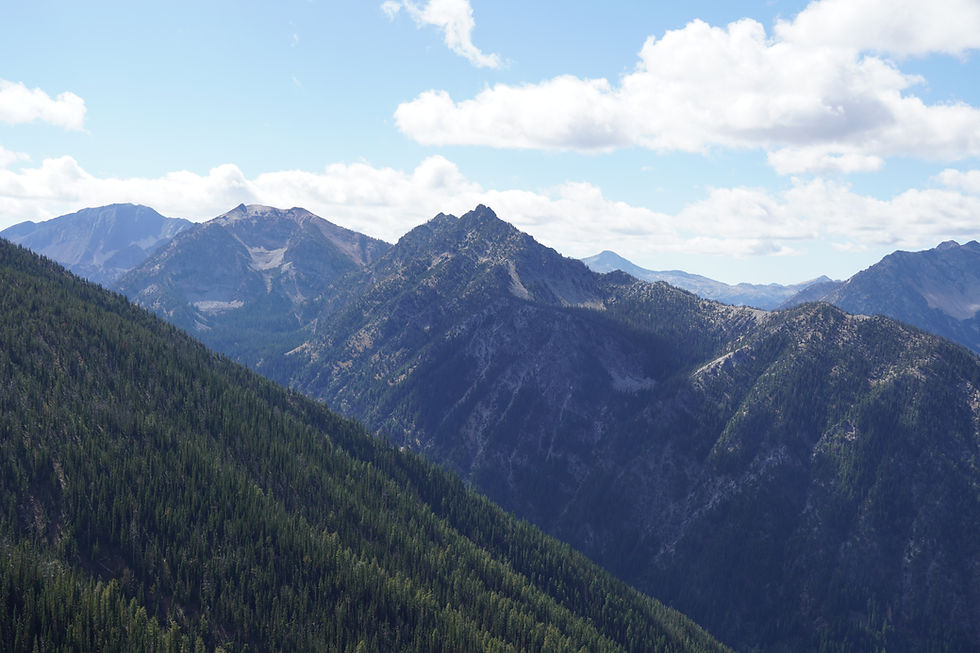 GOBHI Providers Behavioral Health Newsletter March 2025