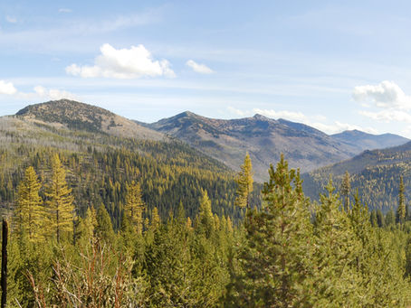GOBHI Providers Behavioral Health Newsletter April 2024