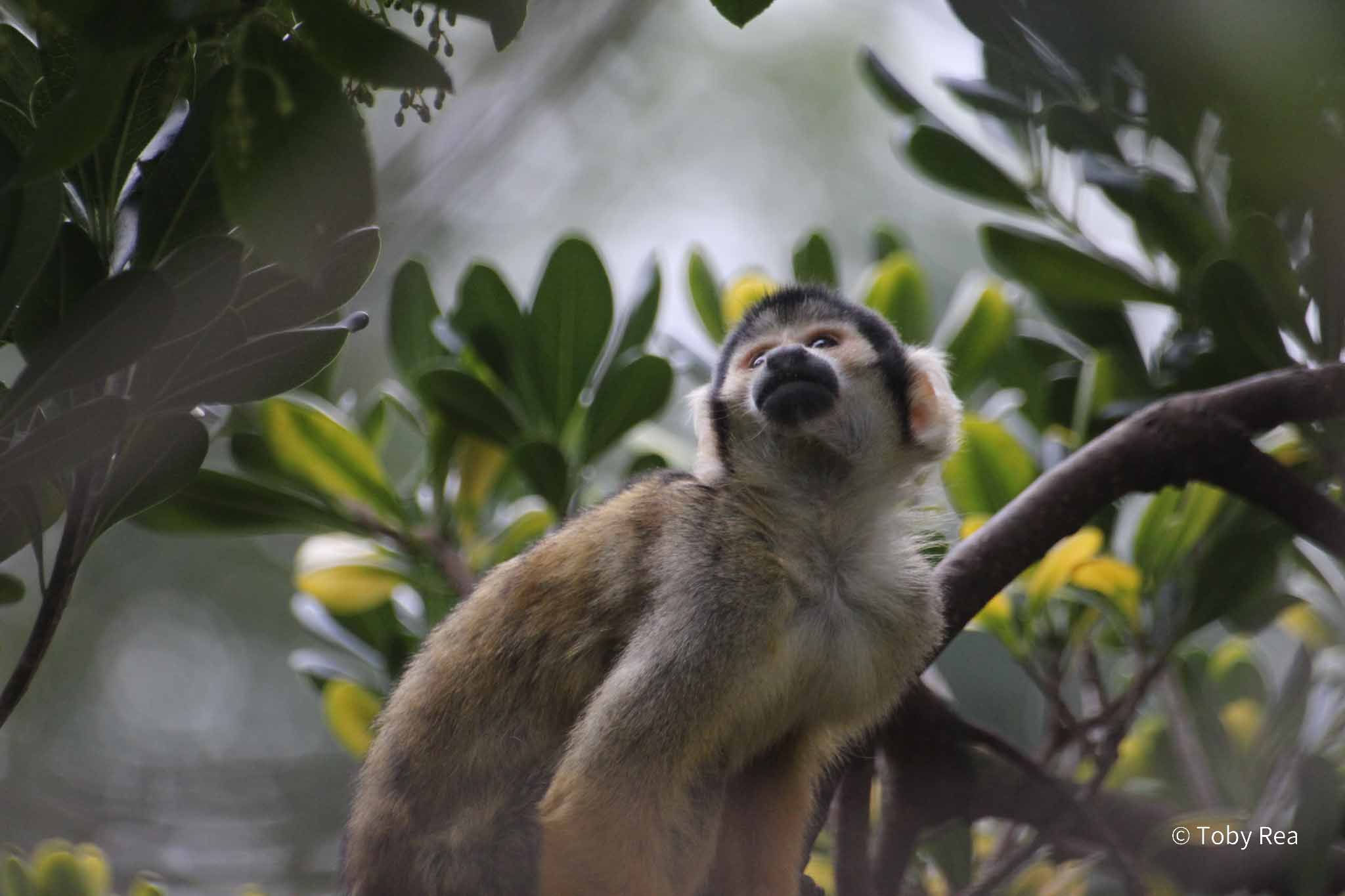 Wildlife 11