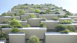 Green Innovators: Women Entrepreneurs Tackling Environmental Challenges