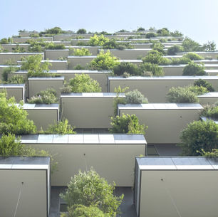 Sustainability in Real Estate: Why It's Important to Start Now?