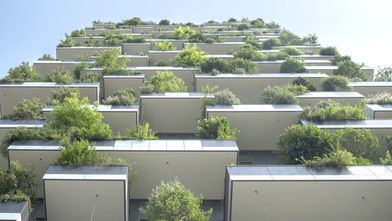 LF25 Part 1 of 3 - Sustainability Is Simple: Reframing Legacy and Longevity