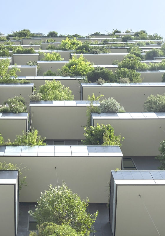 Green Balconies