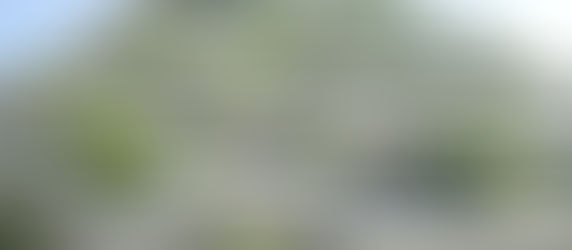 CHEESSE BUILT: AN OVERVIEW 