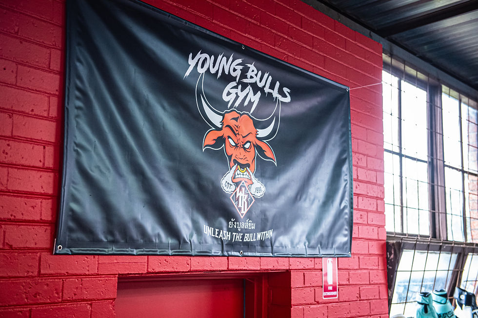 Young Bulls Gym