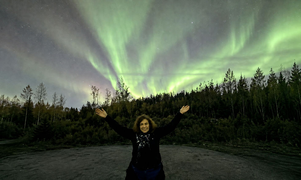 northern lights .jpg