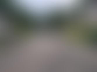 Devenscrest Management LLC response