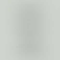 Sea Salt by Sherwin Williams