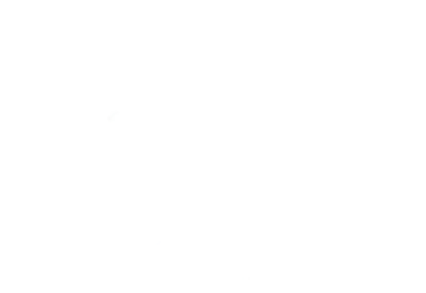 D.png