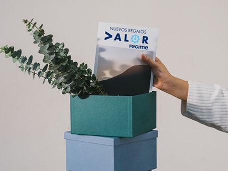 FOLLETO INFORMATIVO VALOR FEGIME