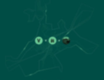 vn1.jpg