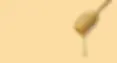 Banner_Mel_02.webp