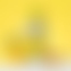 [고려은단] 고려은단, ‘허니&유자 비타민C 캔’ 출시… 휴대성 높인 캔 음료 라인업 강화