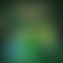 [고려은단] 고려은단 식물성 오메가3, 온라인 판매 1위 등극… “식물성·고순도 트렌드 견인”