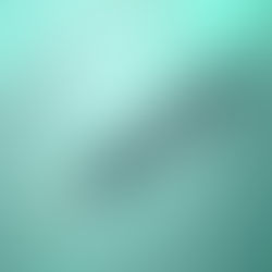 [현대약품] 현대약품, ‘마이녹셀 씨크닝 멜라녹실™ 스칼프 세럼’ GS SHOP 뷰티 1위 기록