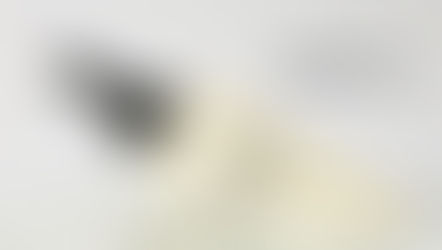 [보도자료] 트리코닉스, 탈모 증상 완화 ‘앰플 투 크림 볼륨 트리트먼트’ 출시… 두피·모발 동시 케어