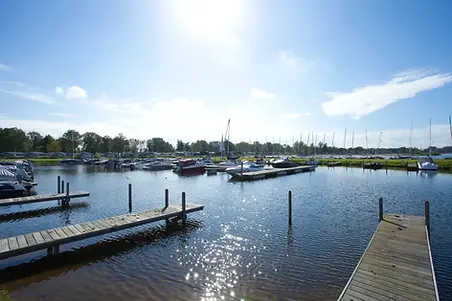 Hafen.webp