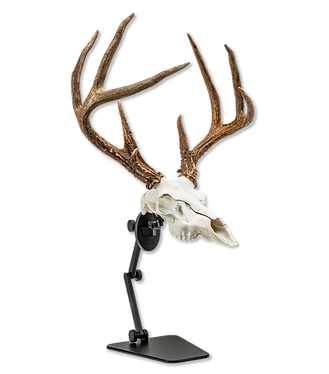 uroadx tx1 european mount tabletop mount