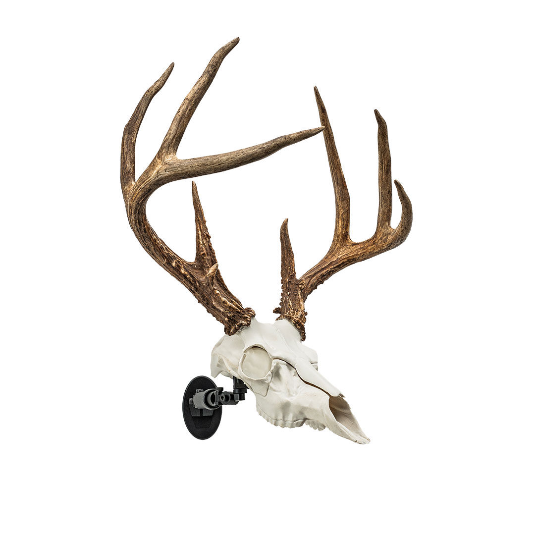 UX1 European Skull Wall Mounting System