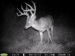 Colonel 14 (103).JPG