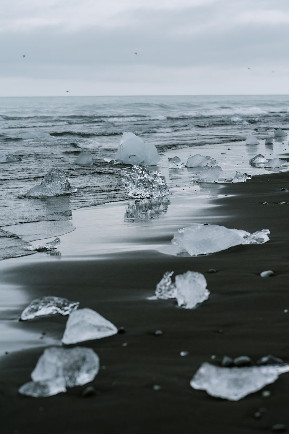 The one and only Dimond beach in the world - Iceland.