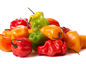 "Meet the habanero chili"