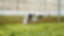 AdobeStock_523908230.jpeg