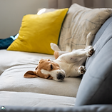 Nimetön malli (26).png