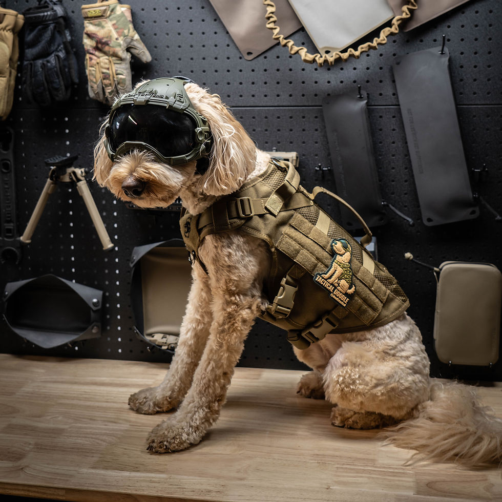 Thumbnail: tactical doodle 3d pvc patch on a golden labradoodle wearing a tactical vest, helmet and goggles