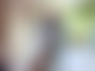 The Man, the Dog, and the Box of Tissues