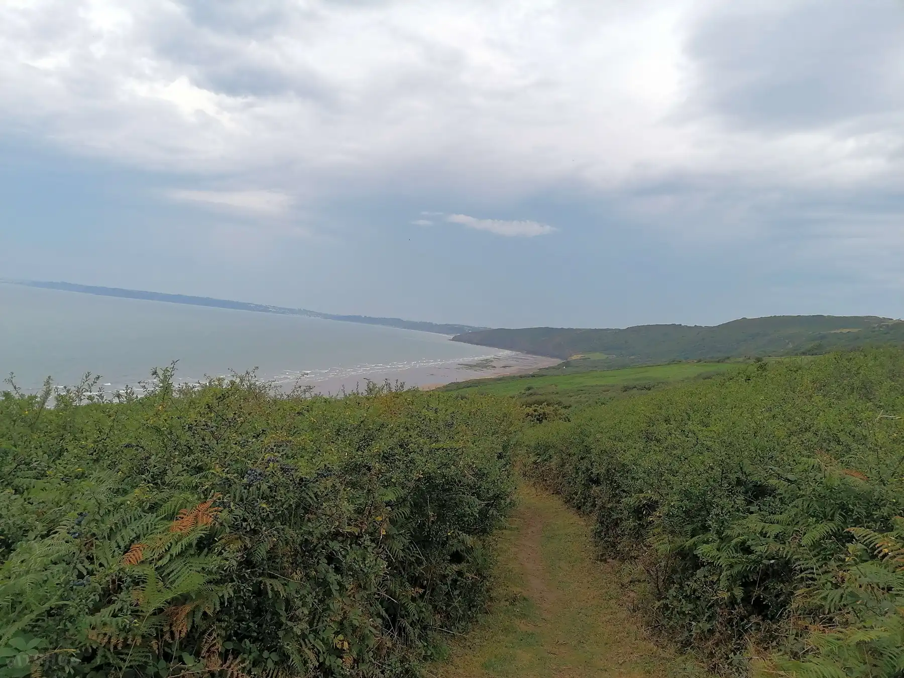 beach 5.webp