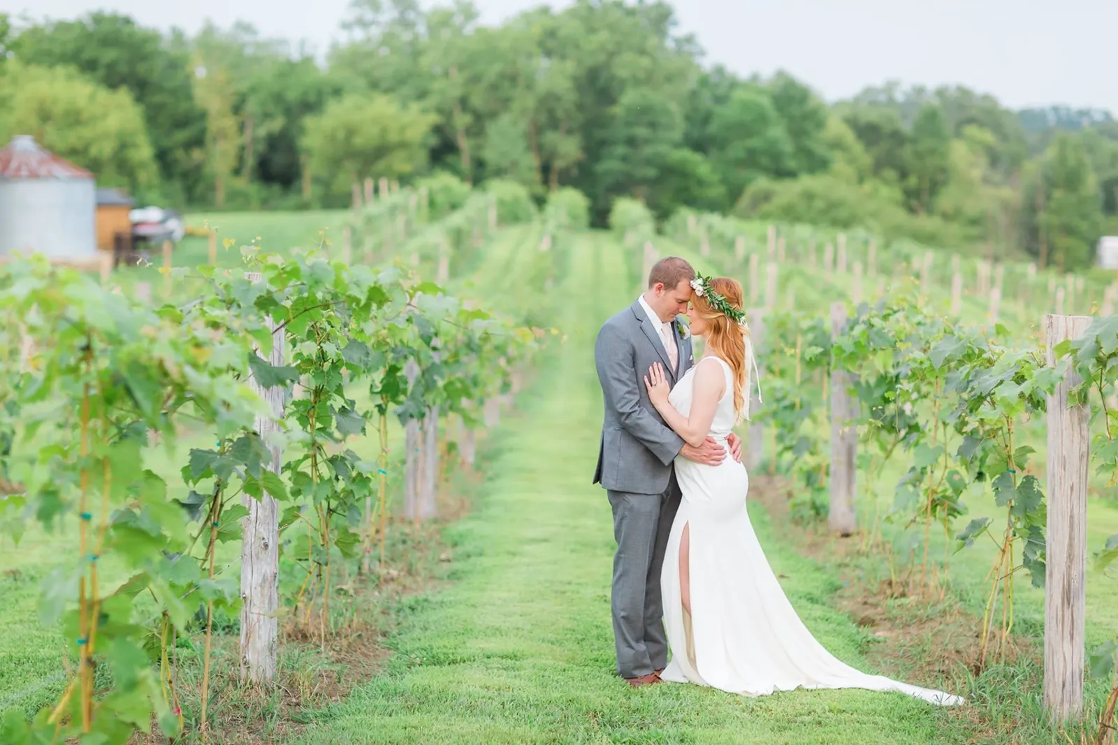 A bride and groom touching foreheads in a vineyard at Givens Farm LLC.