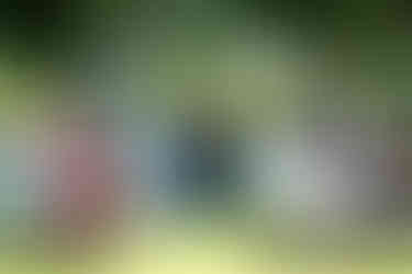 A wedding ceremony taking place outside at the Grode's Blue Water Haven. There are trees and a lake behind them.