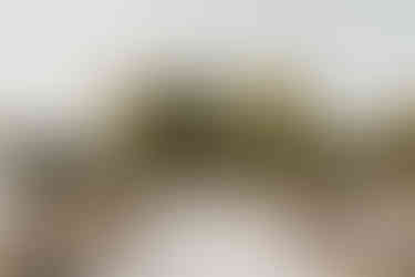 A wedding ceremony with guests on a sunny day and the bride and groom are making their vows