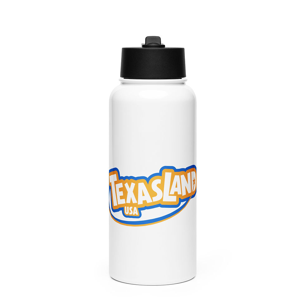 Classic Collection: Stainless Steel Water Bottle with a Straw Lid