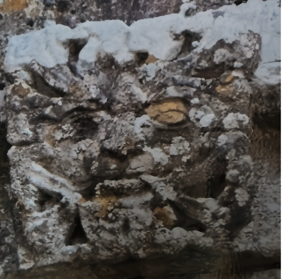 Green Man carving, St. Mary’s Church. Long Crichel, Dorset