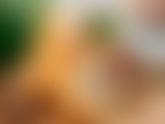 Coxinha vegana de cogumelos