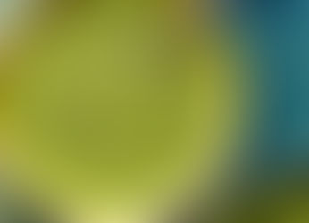 Tempero de ervas para saladas