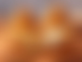 Coxinha de frango com requeijão