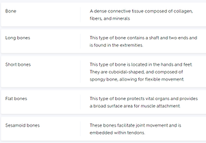 bonestructurefc.png