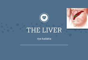 the liver slides .png